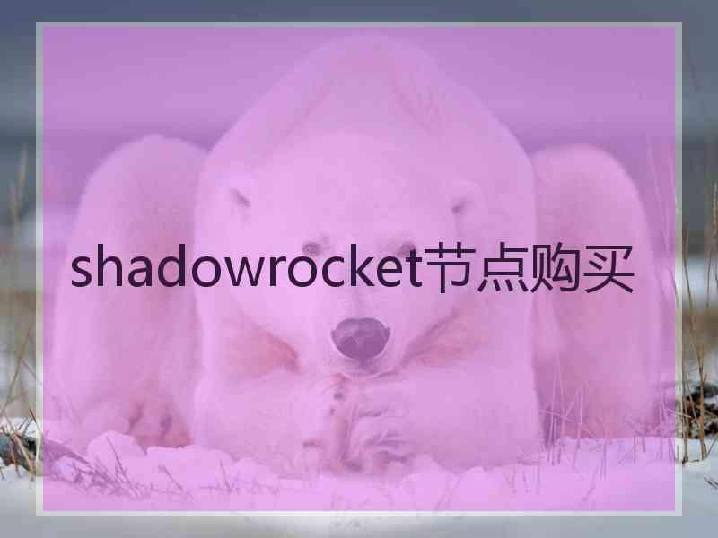 shadowrocket节点购买