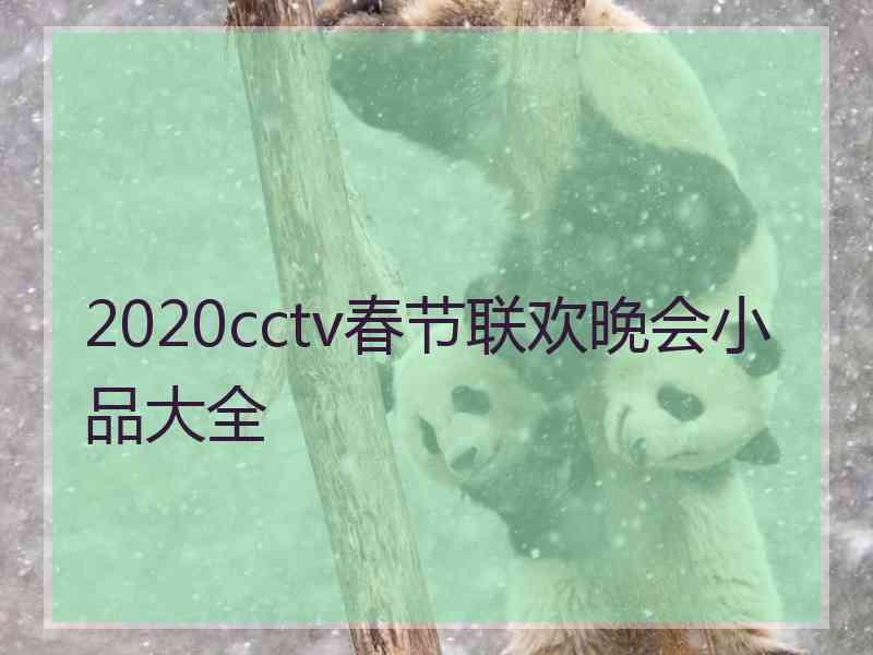 2020cctv春节联欢晚会小品大全