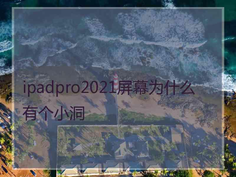 ipadpro2021屏幕为什么有个小洞