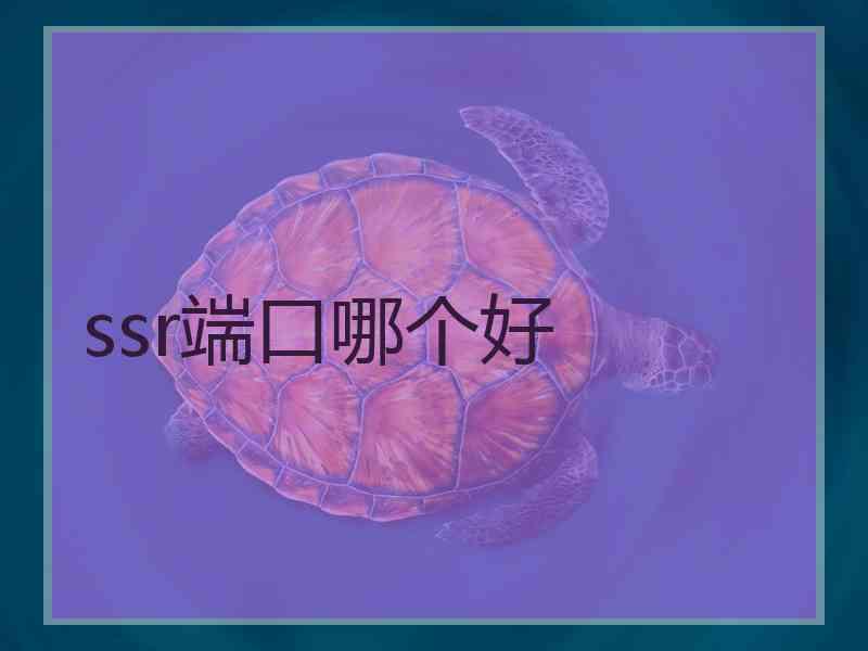 ssr端口哪个好