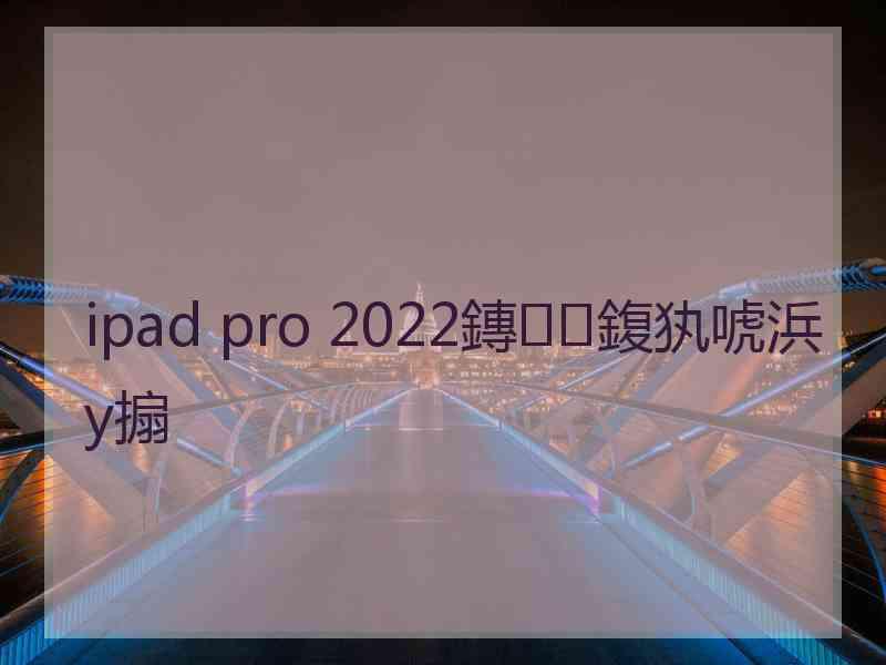 ipad pro 2022鏄鍑犱唬浜у搧