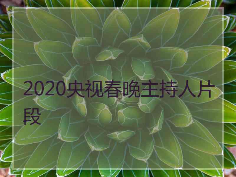 2020央视春晚主持人片段