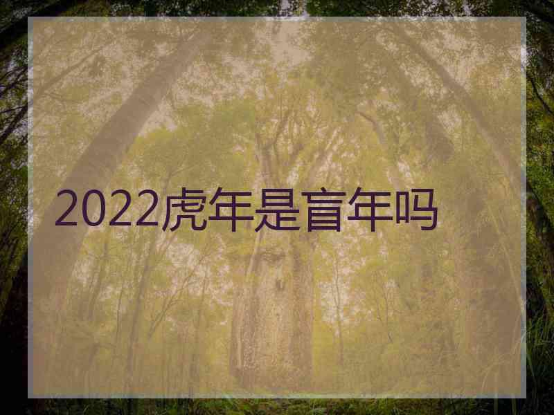 2022虎年是盲年吗