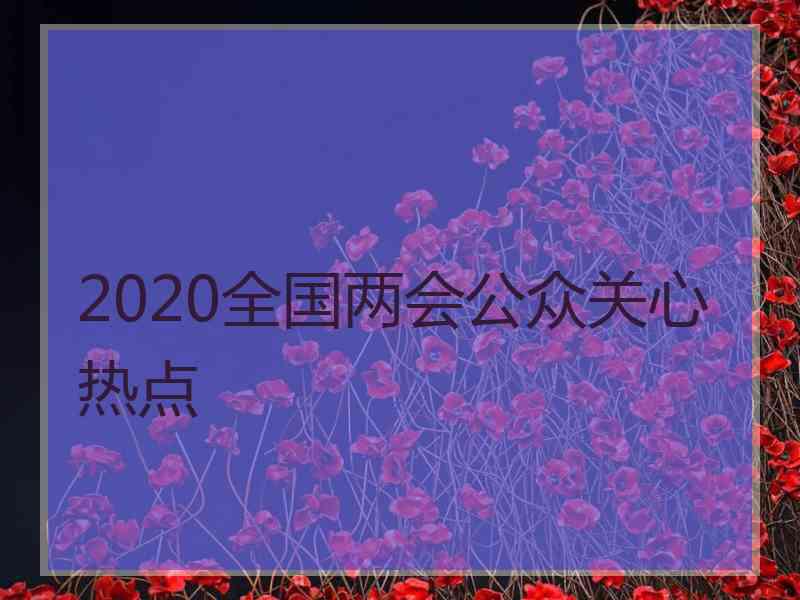 2020全国两会公众关心热点