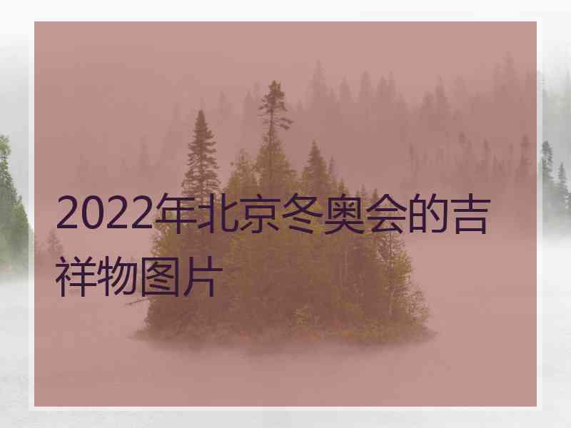 2022年北京冬奥会的吉祥物图片