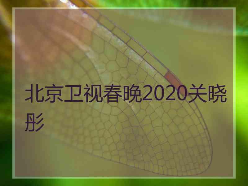 北京卫视春晚2020关晓彤