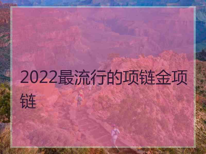 2022最流行的项链金项链