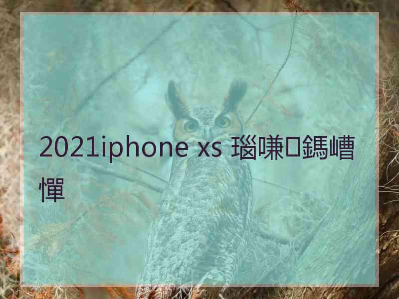 2021iphone xs 瑙嗛鎷嶆憚