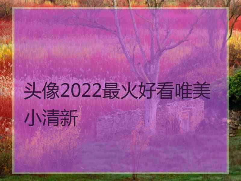 头像2022最火好看唯美小清新