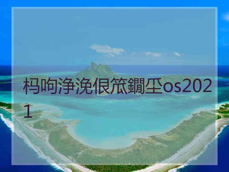 杩呴浄浼佷笟鐗坕os2021