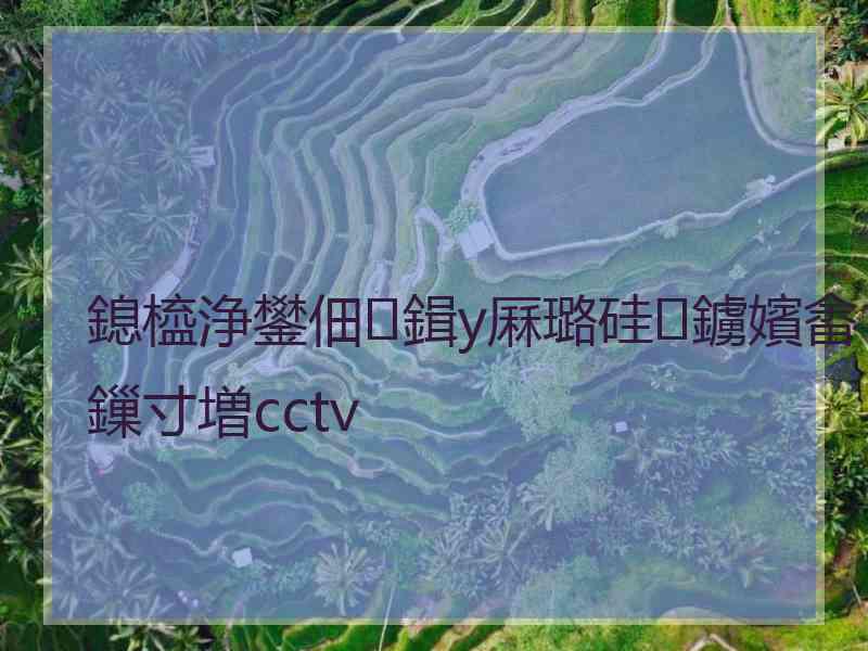 鎴橀浄鐢佃鍓у厤璐硅鐪嬪畬鏁寸増cctv