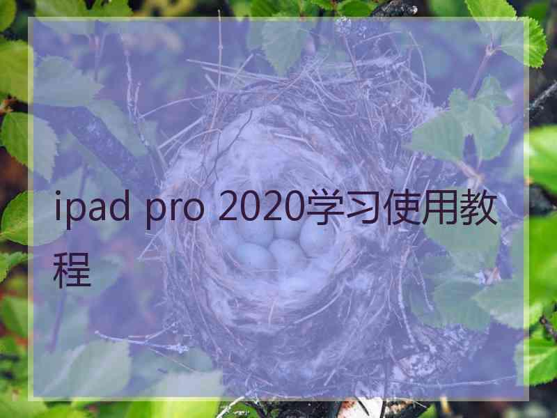 ipad pro 2020学习使用教程