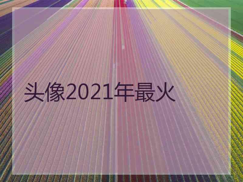 头像2021年最火