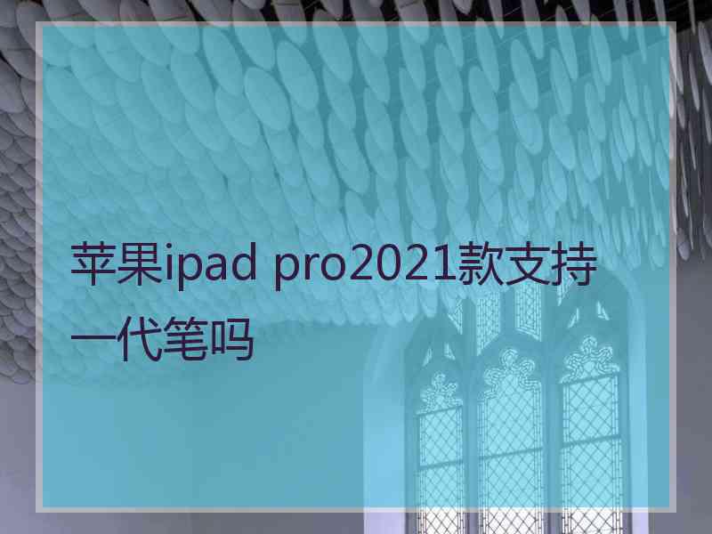 苹果ipad pro2021款支持一代笔吗