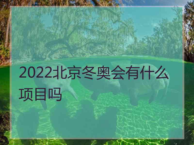 2022北京冬奥会有什么项目吗