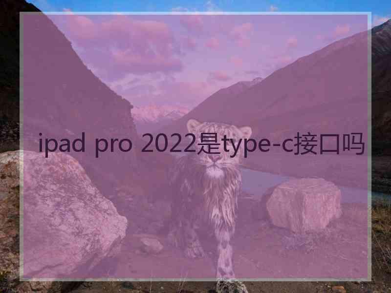 ipad pro 2022是type-c接口吗