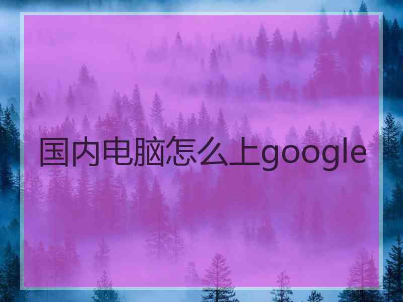 国内电脑怎么上google