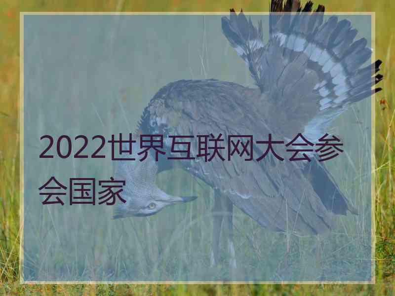 2022世界互联网大会参会国家