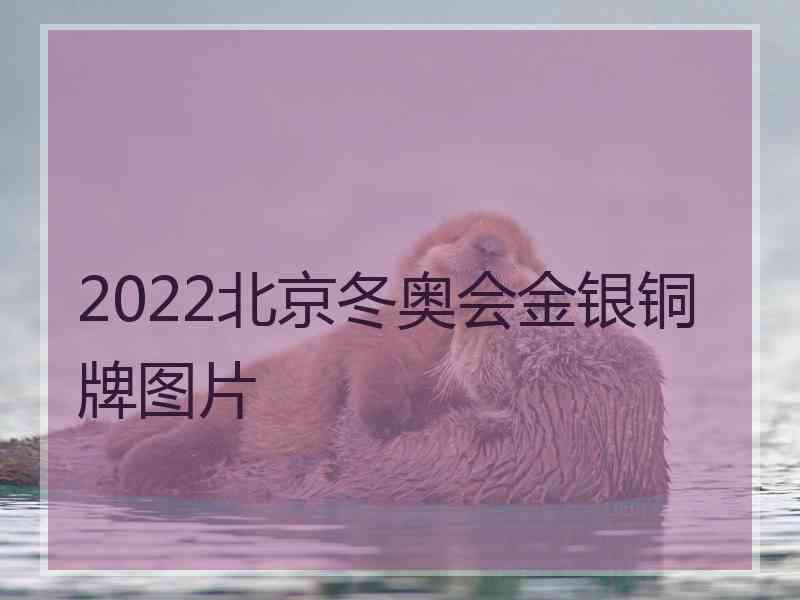 2022北京冬奥会金银铜牌图片