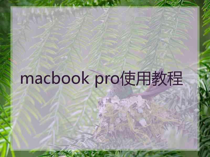 macbook pro使用教程