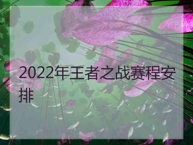 2022年王者之战赛程安排