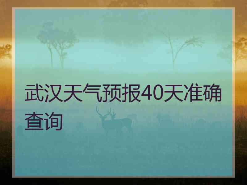 武汉天气预报40天准确查询