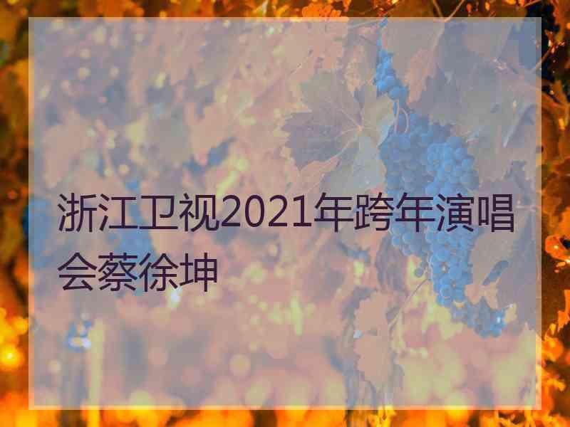 浙江卫视2021年跨年演唱会蔡徐坤