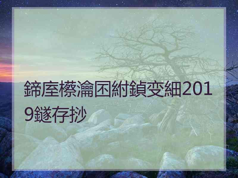 鍗庢櫒瀹囨紨鍞变細2019鐩存挱