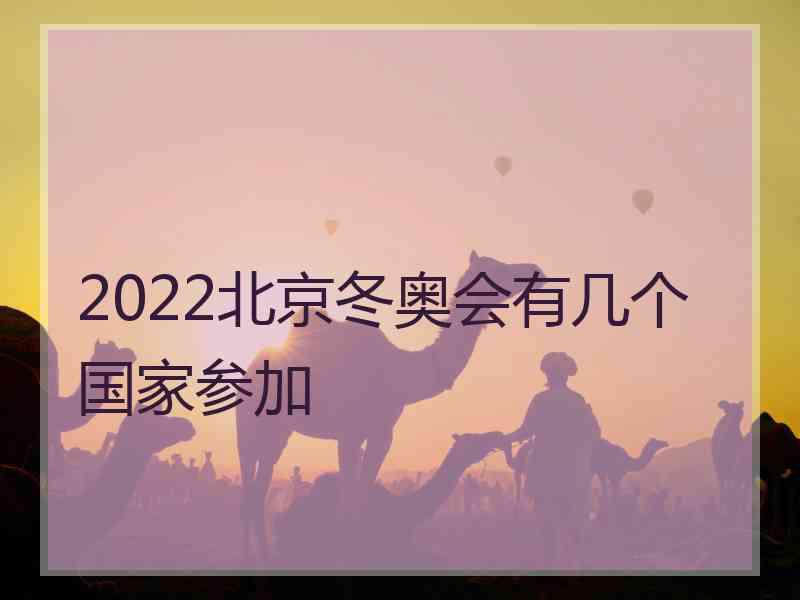 2022北京冬奥会有几个国家参加