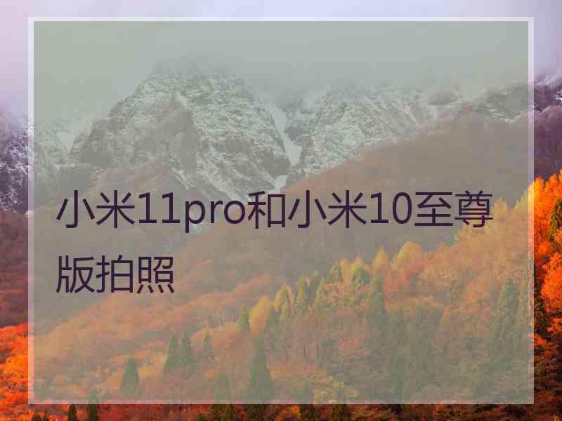 小米11pro和小米10至尊版拍照