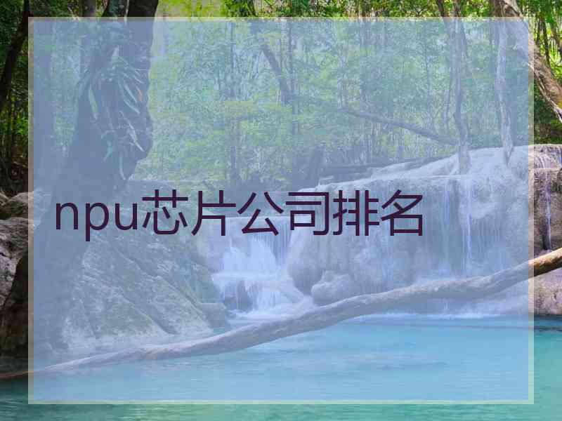 npu芯片公司排名