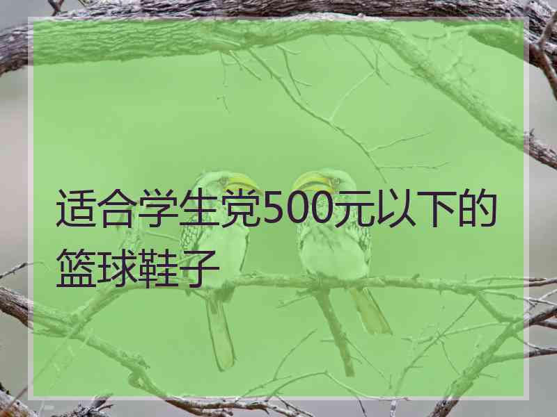 适合学生党500元以下的篮球鞋子