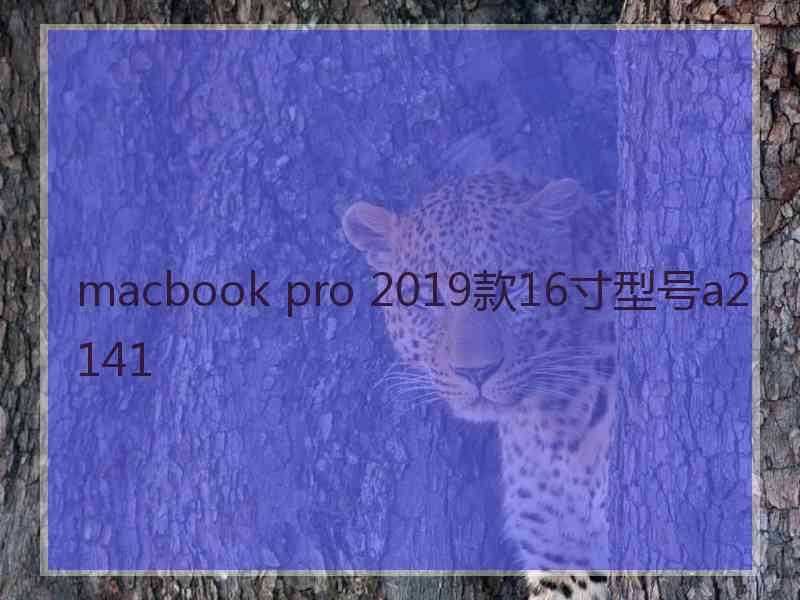 macbook pro 2019款16寸型号a2141