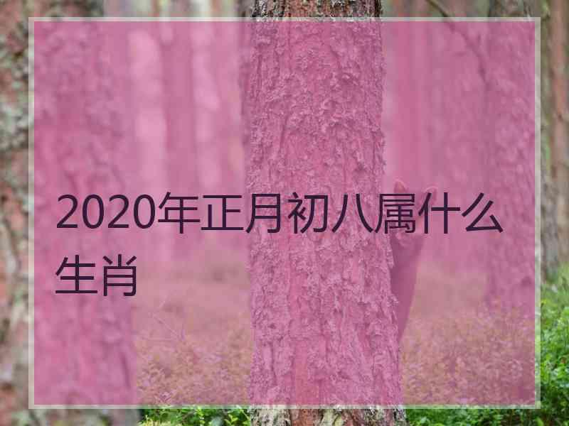 2020年正月初八属什么生肖