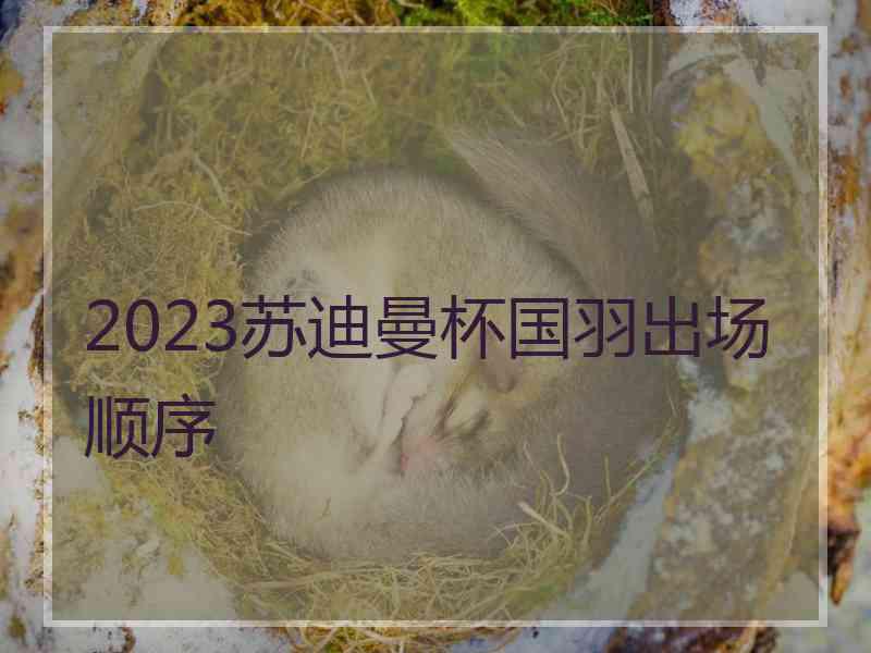 2023苏迪曼杯国羽出场顺序