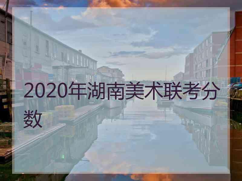 2020年湖南美术联考分数