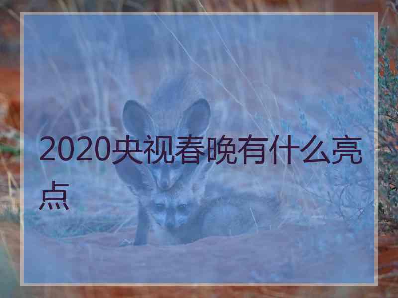 2020央视春晚有什么亮点