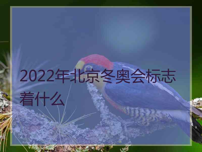 2022年北京冬奥会标志着什么