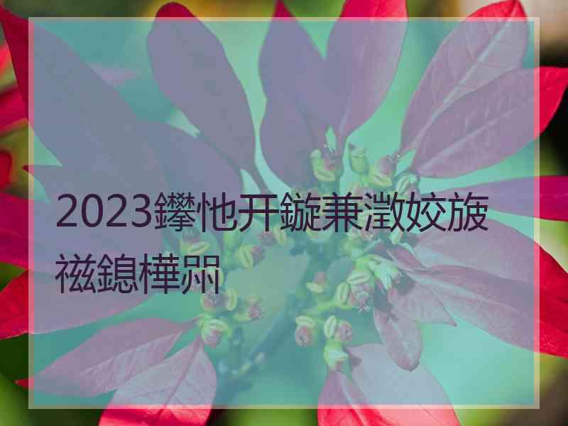 2023鑻忚开鏇兼澂姣旇禌鎴樺喌