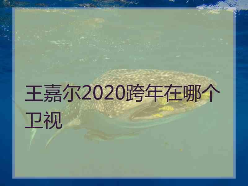 王嘉尔2020跨年在哪个卫视