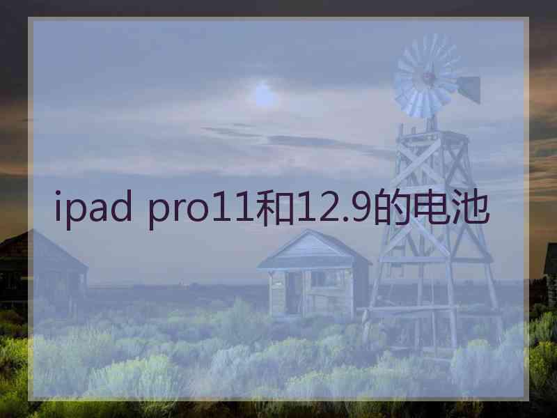 ipad pro11和12.9的电池