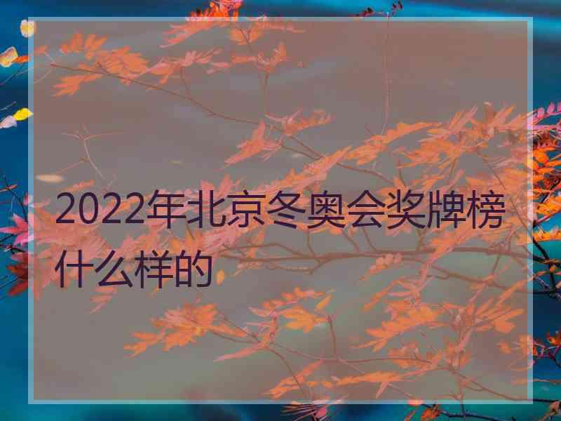 2022年北京冬奥会奖牌榜什么样的