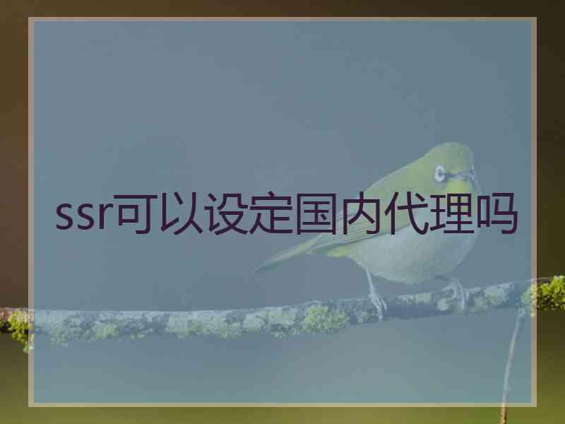 ssr可以设定国内代理吗