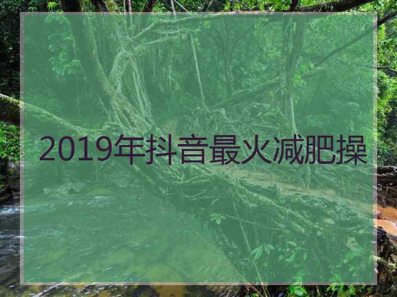 2019年抖音最火减肥操