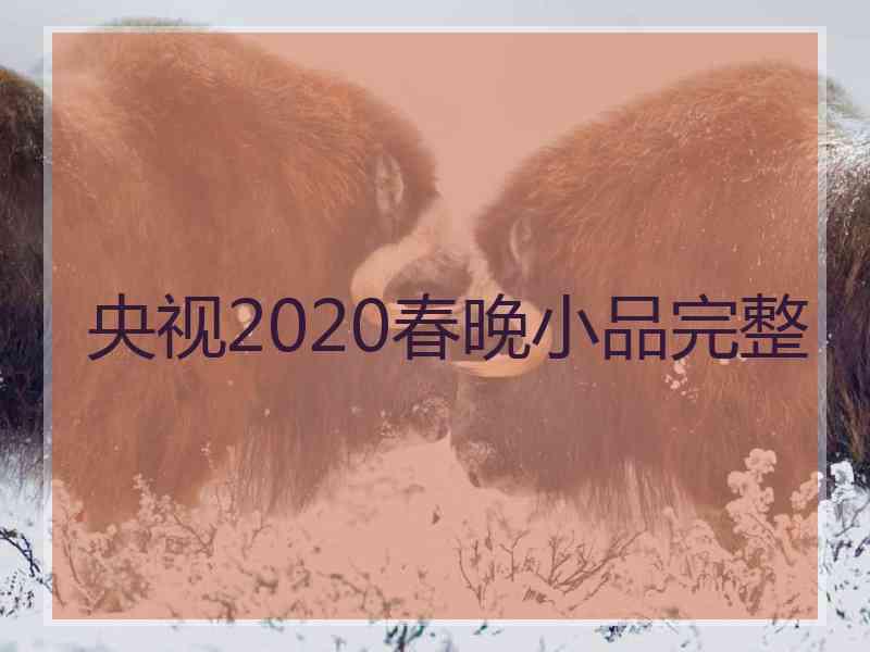 央视2020春晚小品完整