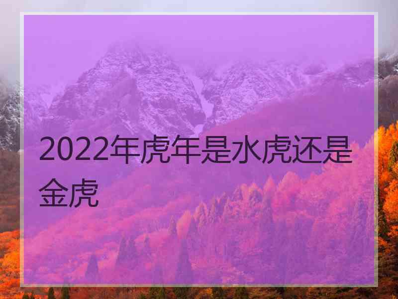 2022年虎年是水虎还是金虎