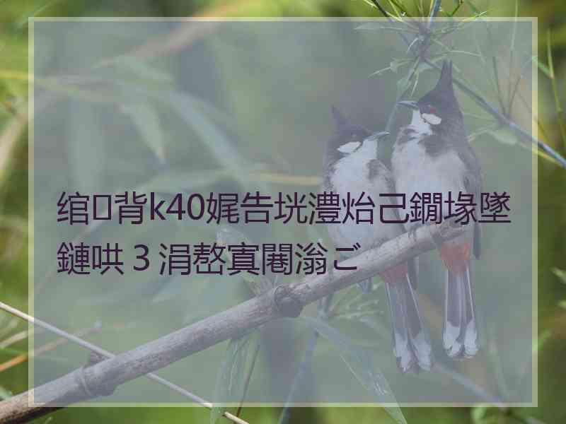 绾㈢背k40娓告垙澧炲己鐗堟墜鏈哄３涓嶅寘闀滃ご