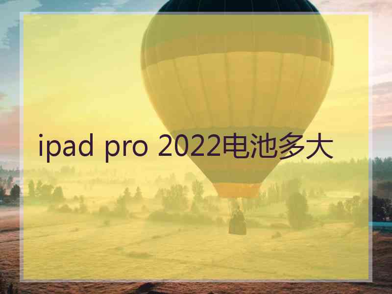 ipad pro 2022电池多大