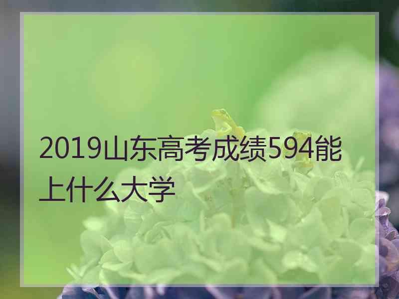 2019山东高考成绩594能上什么大学