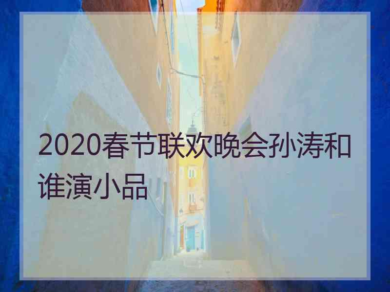 2020春节联欢晚会孙涛和谁演小品